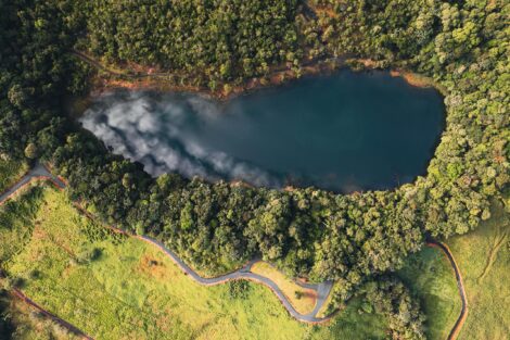 Lago Los Juncos1-min